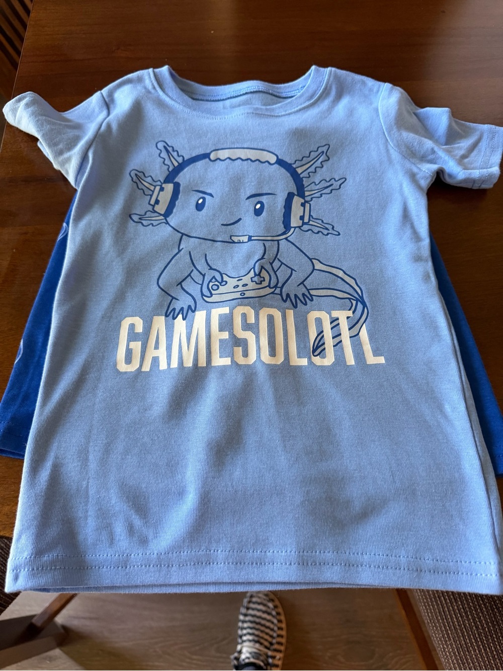 Childrens Place Boys Gamesolotl' PJ Set